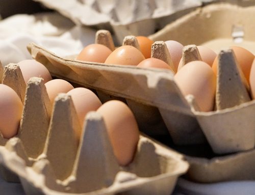 What makes our eggs so delicious?